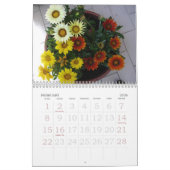 Calendrier 2009, (Feb 2026)