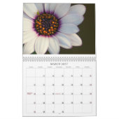 Calendrier 2009 : Beauté et espoir (Mar 2027)