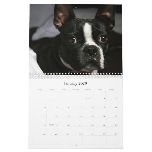 Calendrier 2009 de Boston Terrier (Jan 2026)