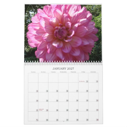 Calendrier 2009 de dahlia (Jan 2027)