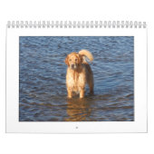 Calendrier 2009 de Mack (Protection)