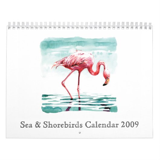 Calendrier 2009 de mer et de charadriidés (Protection)