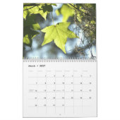 Calendrier 2009 de nature de la Floride (Mar 2027)