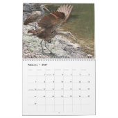 Calendrier 2009 de nature de la Floride (Feb 2027)