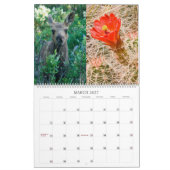 CALENDRIER 2009 DE PHOTO (Mar 2027)