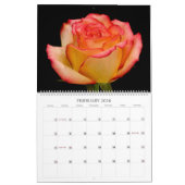 CALENDRIER 2009 DE PHOTO (Feb 2026)