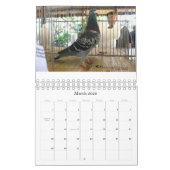 Calendrier 2009 de pigeon (Mar 2026)