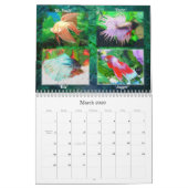 Calendrier 2009 de poissons de Betta (Mar 2026)