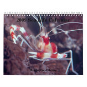Calendrier 2009 de vie marine,… (Protection)