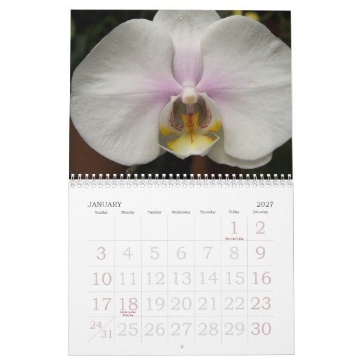 Calendrier 2009 fleurs (Jan 2027)