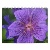 Calendrier 2009 photgraphed par Stacey Morris (Protection)