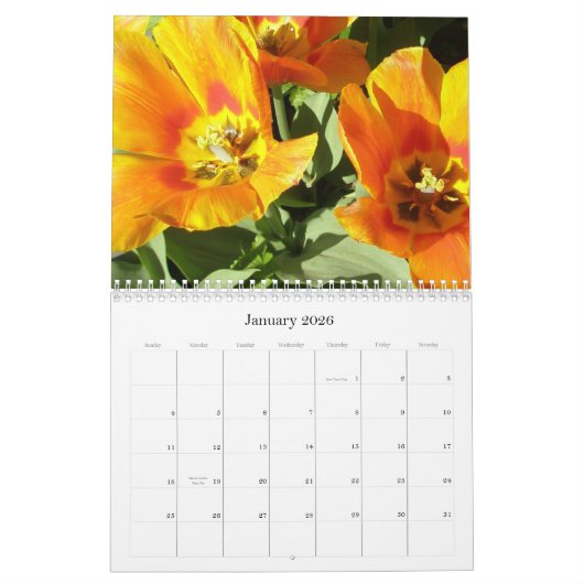 Calendrier 2009 photgraphed par Stacey Morris (Jan 2026)