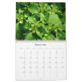 Calendrier 2009 photgraphed par Stacey Morris (Mar 2026)