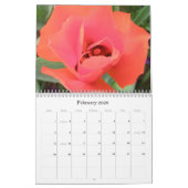 Calendrier 2009 photgraphed par Stacey Morris (Feb 2026)