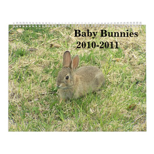 Calendrier 2010-2011 de lapin de bébé (Protection)