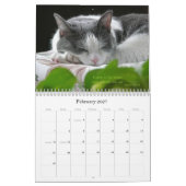 Calendrier 2010 avec le ventre de Guru (Feb 2027)