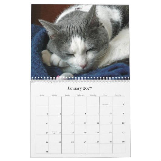 Calendrier 2010 avec le ventre de Guru (Jan 2027)