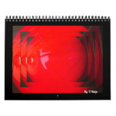 Calendrier 2010 ayant une boule (Protection)