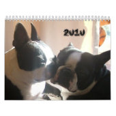 Calendrier 2010-Cover, 2010 (Protection)