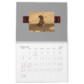 Calendrier 2010 d'Azawakh (Feb 2027)