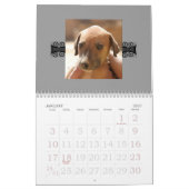 Calendrier 2010 d'Azawakh (Jan 2027)