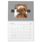 Calendrier 2010 d'Azawakh (Jan 2026)