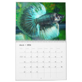 Calendrier 2010 de Betta (Mar 2026)