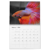 Calendrier 2010 de Betta (Feb 2026)