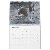 Calendrier 2010 de chiot de Basenji (Mar 2026)