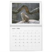 Calendrier 2010 de groupe de photographie de du (Mar 2026)