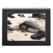 Calendrier 2010 de groupe de photographie de du (Protection)