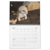 Calendrier 2010 de KMP (Mar 2027)