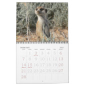 Calendrier 2010 de KMP (Feb 2027)