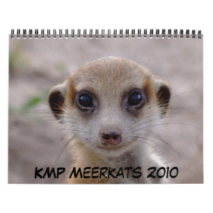 Calendrier 2010 de KMP