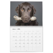 Calendrier 2010 de Labrador de chocolat (Mar 2026)
