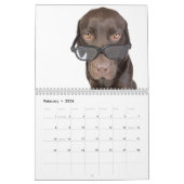 Calendrier 2010 de Labrador de chocolat (Feb 2026)