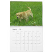 Calendrier 2010 de labrador retriever (Feb 2026)