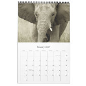Calendrier 2010 de l'Afrique de faune - safari (Jan 2027)