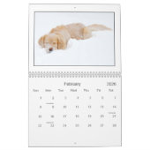 Calendrier 2010 de Mack et d'amis (Feb 2026)