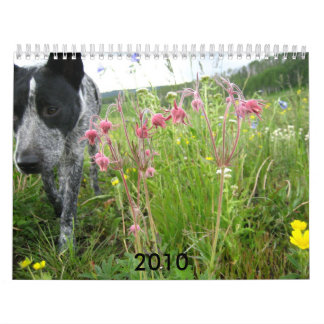 Calendrier 2010 de nature