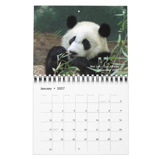 Calendrier 2010 de panda (Jan 2027)