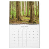 Calendrier 2010 de photographie (Mar 2026)