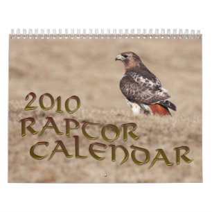 Calendrier 2010 de Raptor