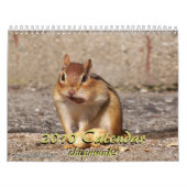 Calendrier 2010 de tamia (Protection)