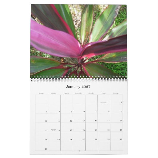 Calendrier 2010 d'Hawaï (Jan 2027)
