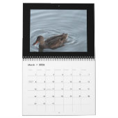 Calendrier 2010 d'inspirations de nature (Mar 2026)