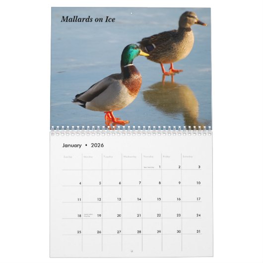 Calendrier 2010 d'oiseau (Jan 2026)
