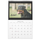 Calendrier 2010 d'ordures de C (Mar 2026)