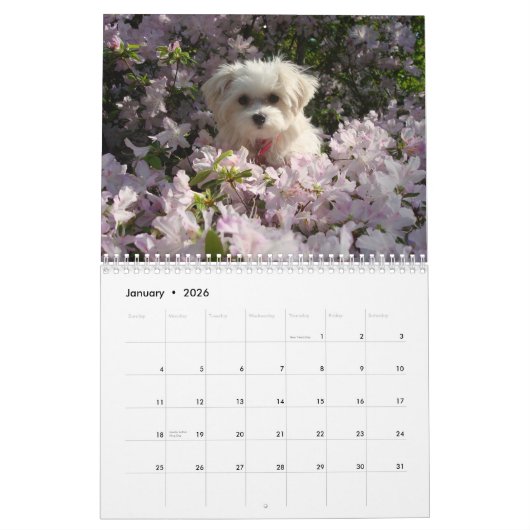 Calendrier 2010 maltais (Jan 2026)