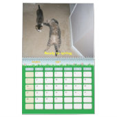Calendrier 2010 : Une année avec des chats (Mar 2027)